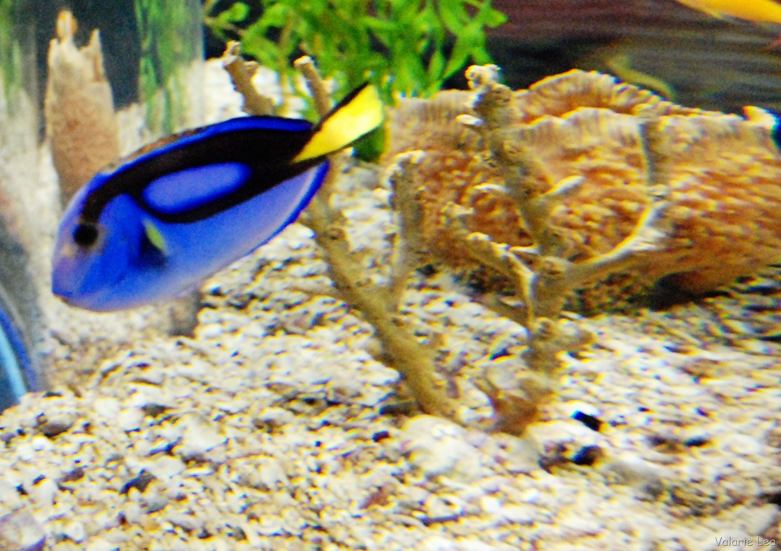 [DORY2[3].jpg]